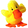 Quackers.gif (5571 bytes)